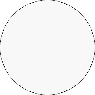 Tapparella Orienta Obliqua 01 BIANCO R-01