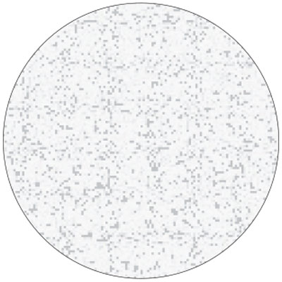 Tapparella Avvolgibile Newsolar BIANCO ANTICO Ruvido F111