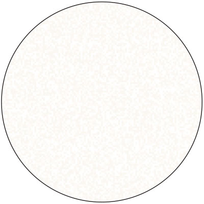 Tapparella Avvolgibile Newsolar bianco ruvido 9010