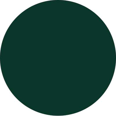 Tapparella Orienta Obliqua VERDE RAL 6009 RUVIDO